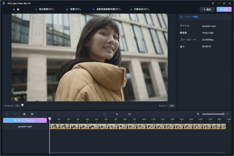 AVCLabs Video Blur AI追加動画の詳細情報