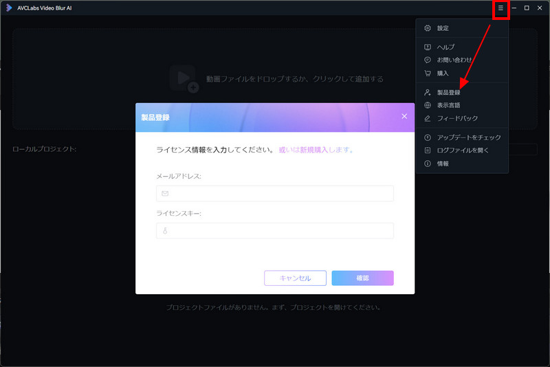 AVCLabs Video Blur AI製品登録